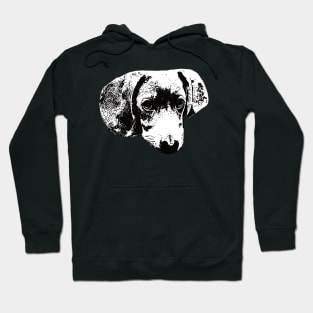 Dachshund - Wiener Christmas Gifts Hoodie